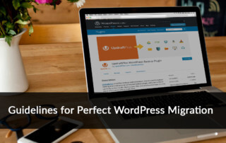 Guidelines for Perfect WordPress Migration
