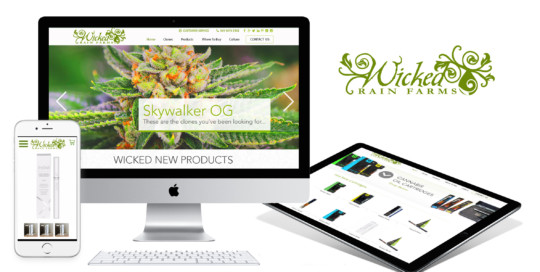 cannabis website development