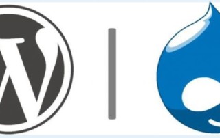Should You Pick Drupal or Wordpress as Your CMS of Choice?