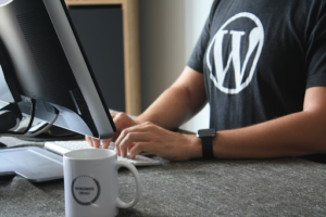 The Best WordPress Web Designers