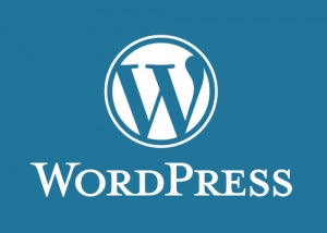 Search engine-friendly wordpress sites