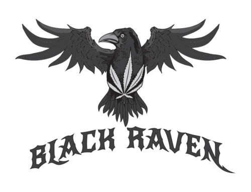 black raven cannabis company