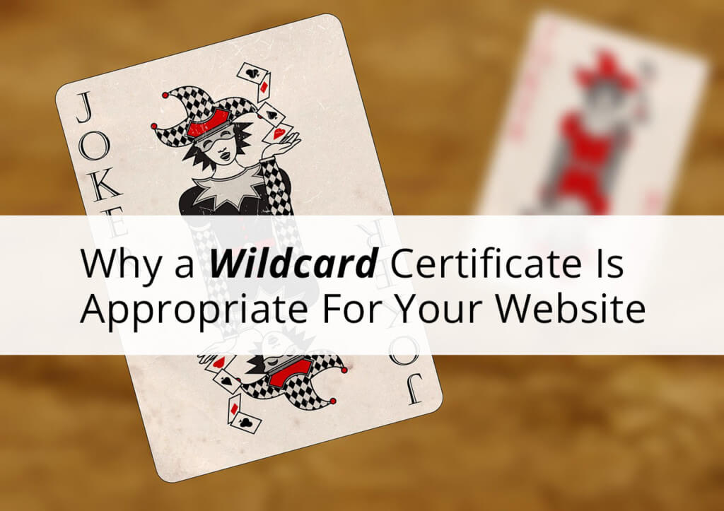 Why a Wildcard Certificate Is Appropriate For Your Website