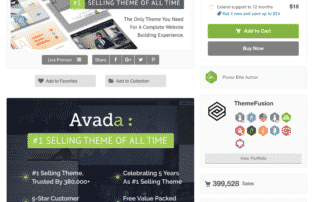 Avada Premium SEO friendly WordPress Theme