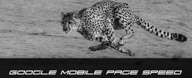 Google Mobile Page Speed