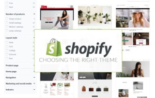 choosing the right premium shopify theme