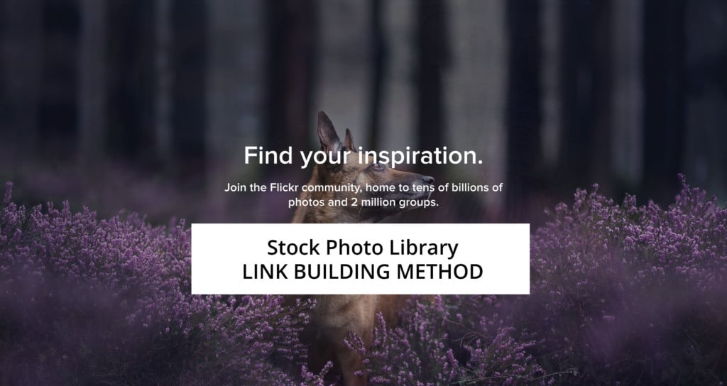 Stock Photo Library Link Building Method