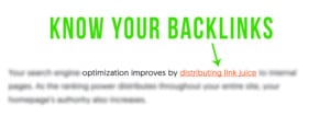 Different Types of Backlinks That Can Enrich Your Backlink Profile