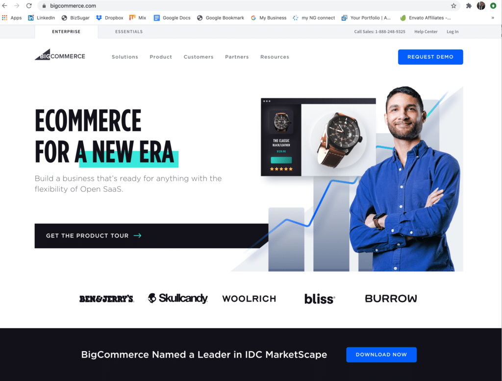 bigcommerce for ecommerce business